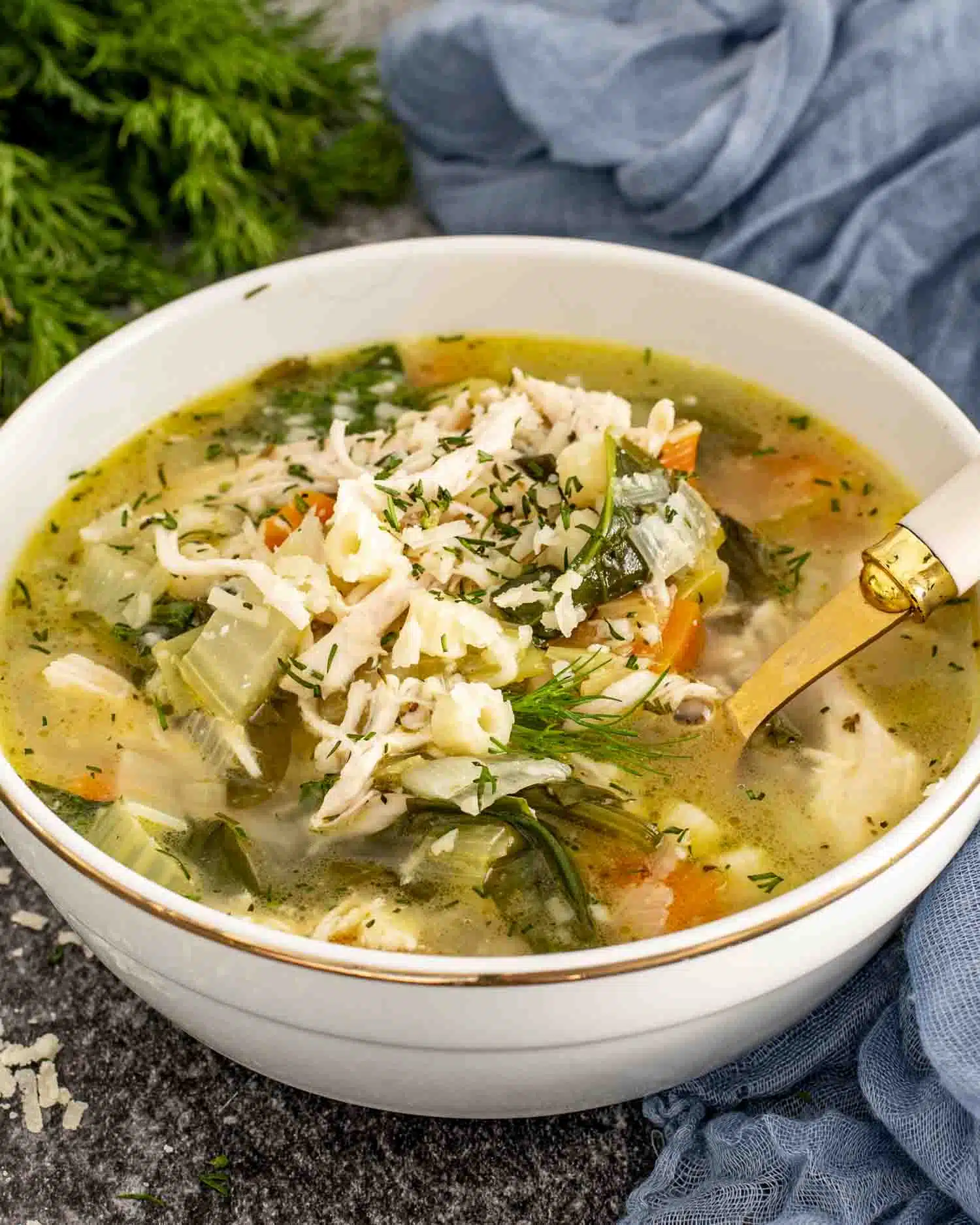 chicken and leek soup recipe