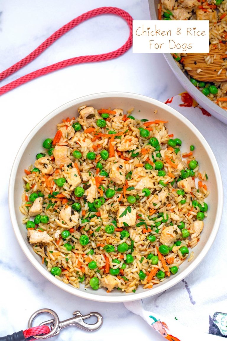 dog chicken and rice recipe