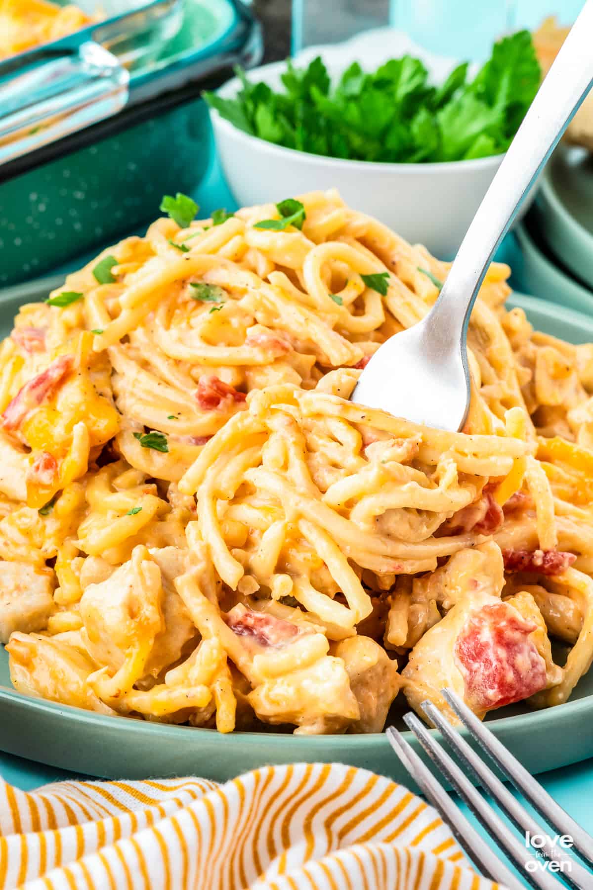 recipe for rotel chicken spaghetti